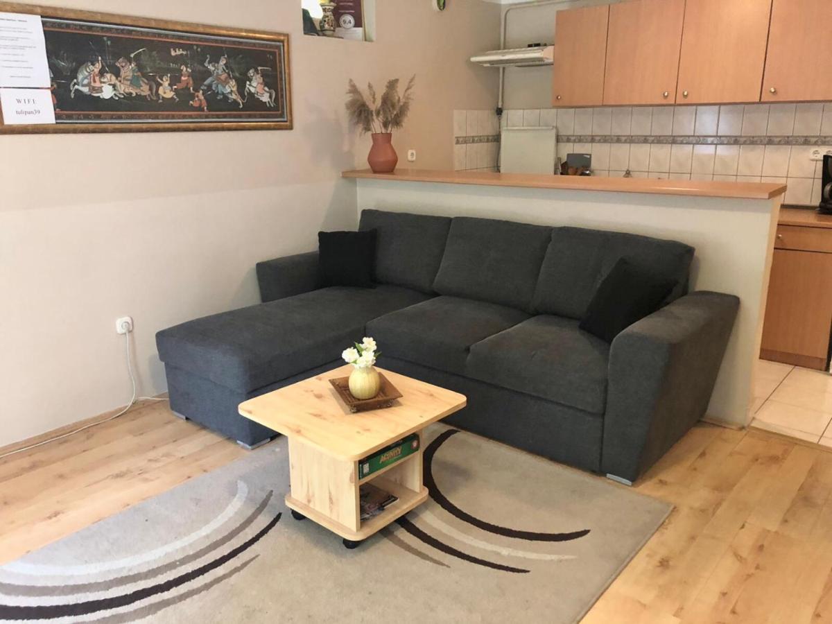 Tulipan Apartman Eger Bagian luar foto